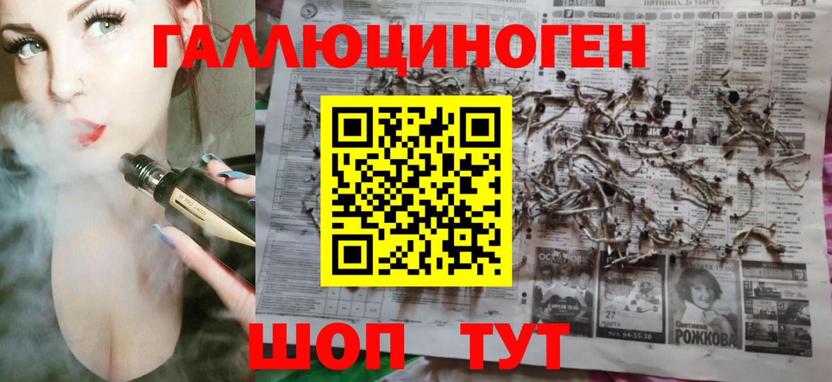 Галлюциногенные грибы Psilocybine cubensis Куйбышев